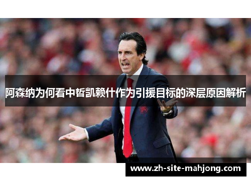 阿森纳为何看中哲凯赖什作为引援目标的深层原因解析