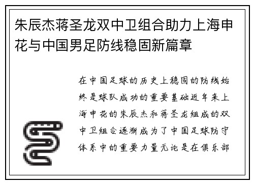 朱辰杰蒋圣龙双中卫组合助力上海申花与中国男足防线稳固新篇章